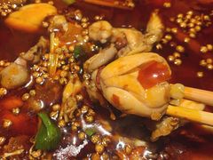 -宽口美蛙鱼头(大唐西市店)