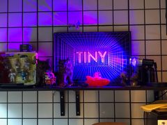 -TINY