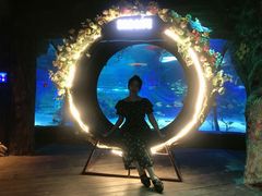 -沈阳海洋探索中心