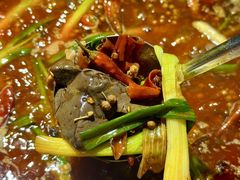 -蜀家渝重庆火锅(南屏街店)