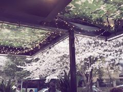 -玛格萝妮比萨屋(四平店)