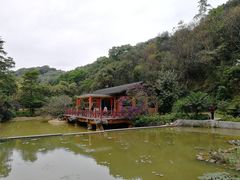 -云溪植物园