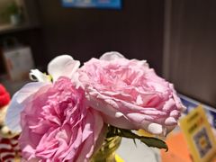 -鹿栖.精油SPA(金山世纪城店)