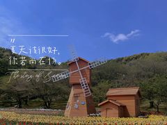 -苏州上方山国家森林公园