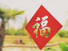 -大队长大灶鹅