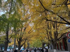 -四川大学(华西校区)