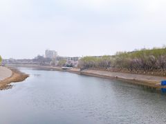 -桃花堤公园