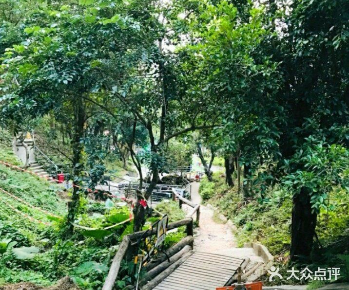 丛林里的探险，谁才是最勇敢的人？