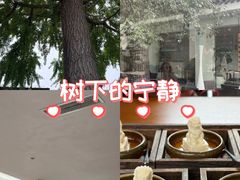 -自如ZSPACE四合院艺术餐厅