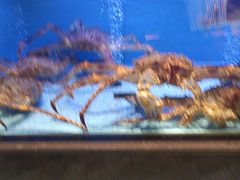 -阿伟海鲜楼·福建菜(延寿店)