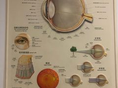 -苏州大学理想眼科医院