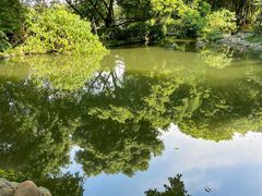 -成都市活水公园