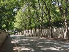 -上海佘山国家森林公园西佘山园