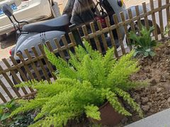 -黄山老妈·土菜(碧桂园店)