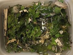 -泸沽肴(泸沽湖大洛水村农村信用社旁店)