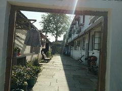 -运河游船(武林门码头)