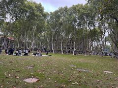 -东南大学(四牌楼校区)