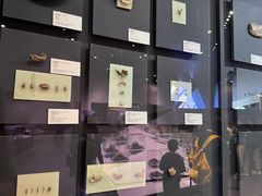 -北京周口店北京人遗址博物馆