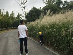 -梁鸿国家湿地公园
