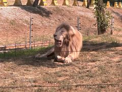 -秦皇岛野生动物园