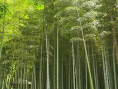 -同里国家湿地公园