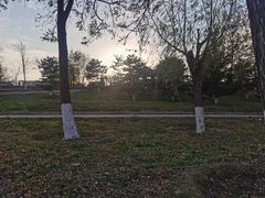 -永定河休闲森林公园