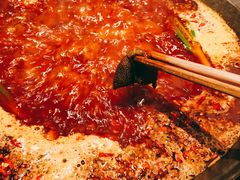 鲜毛肚-纸盐河码头火锅(十八梯店)