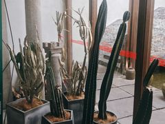 -几荷·恰似故人来(秀水广场店)