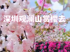 -观澜山水田园