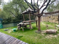-上海野生动物园