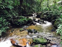 -莫里热带雨林景区