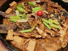 -老板恋上鱼(恒隆广场店)