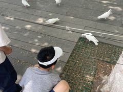 -齐文化博物馆