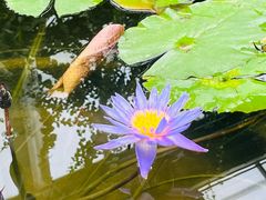 -国家植物园南园