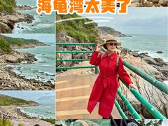 -广东惠东海龟国家级自然保护区