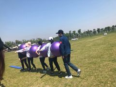 -春花秋色城市公园