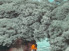 -窦圌山风景区