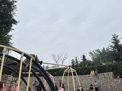 -铁山坪森林公园