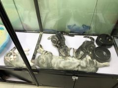 -酷迪(巴沟华联店)