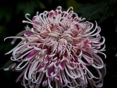 -共青国家森林公园-售票处