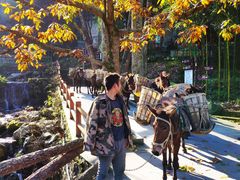 -藏龙百瀑风景区