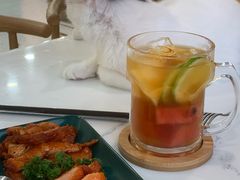 -喵园·猫主题咖啡厅·撸猫·猫咖(国贸店)