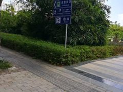 -金鸡岭桥头公园