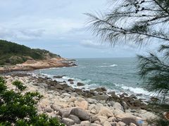 -广东惠东海龟国家级自然保护区