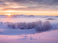 -塞罕坝国家级自然保护区