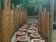 -南宁良凤江国家森林公园