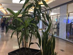 -太平洋中心(CF Pacific Centre)