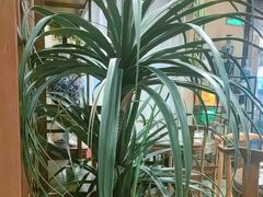 -梁溪河畔·吉府花园(南长街南下塘店)