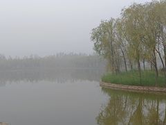 -杨柳青庄园