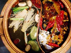 -镇江龙·火锅串串(武侯祠店)